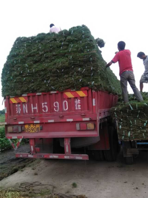 桥头直达荆州市 物流回程车与普通道路货物运输代理服务解析